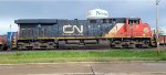 CN 3810